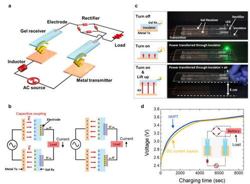 脑科学日报 超加工食品加速衰老，全球最大神经元类脑计算机问世，通讯设备设计革新